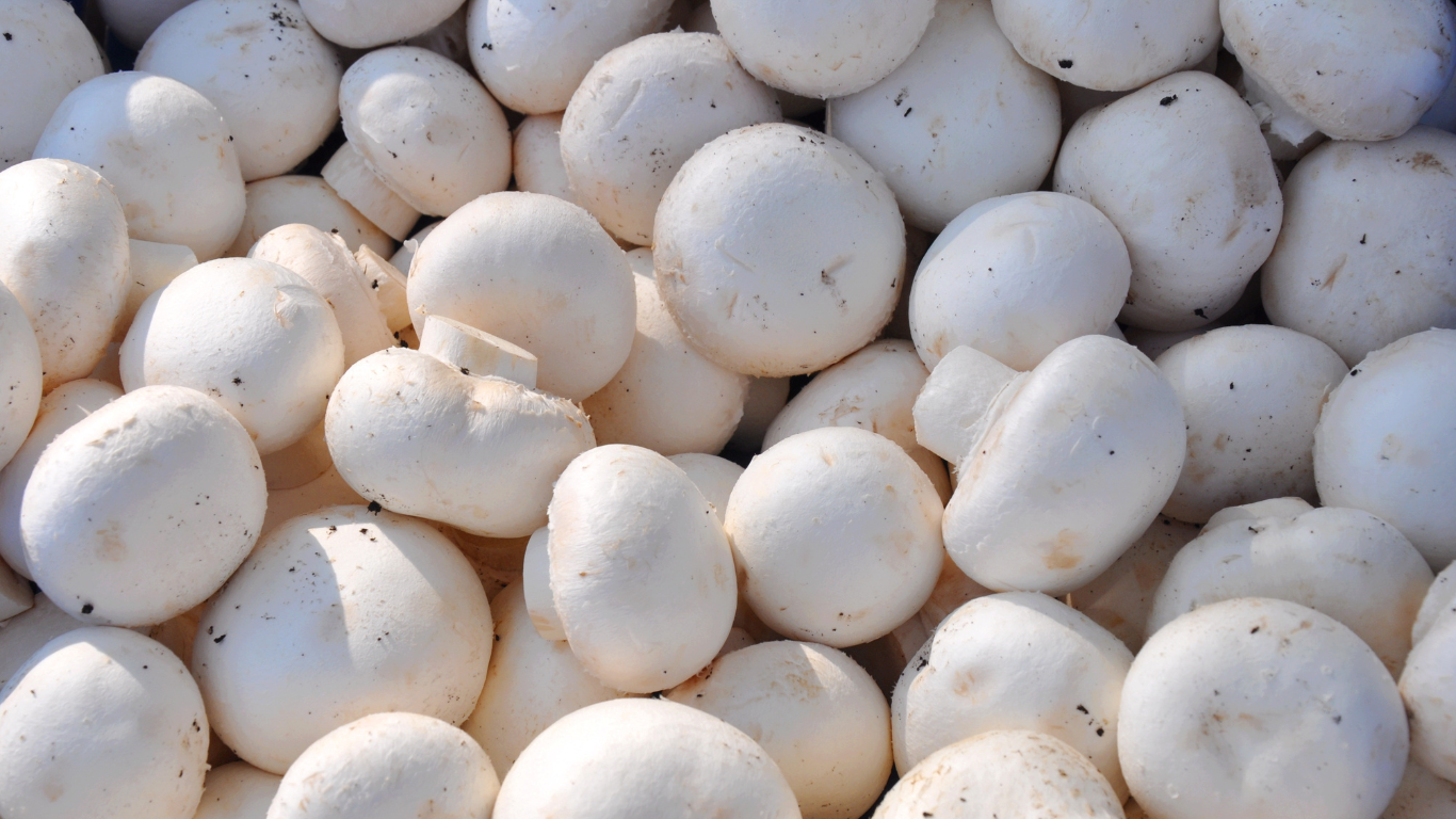 Fresh White Button Mushroom